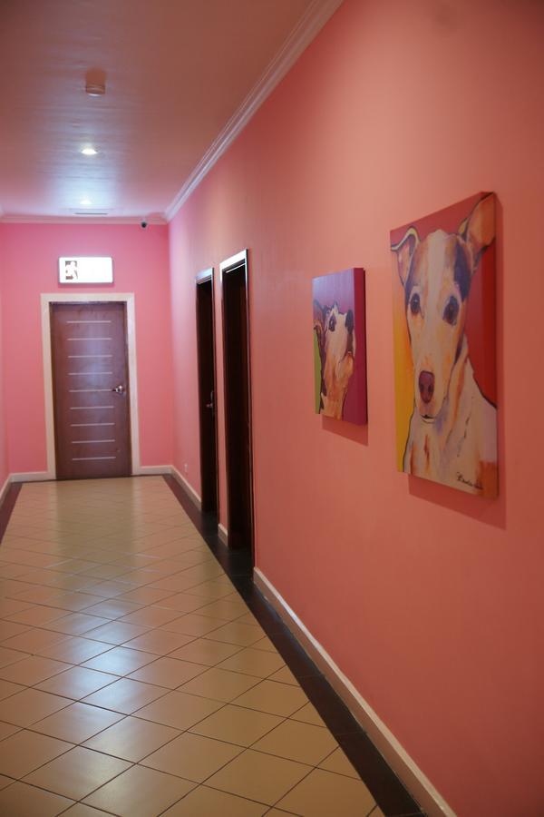 לאה Hotel Morobe מראה חיצוני תמונה